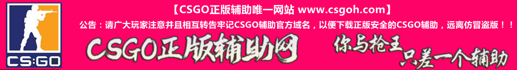 CSGO5E辅助